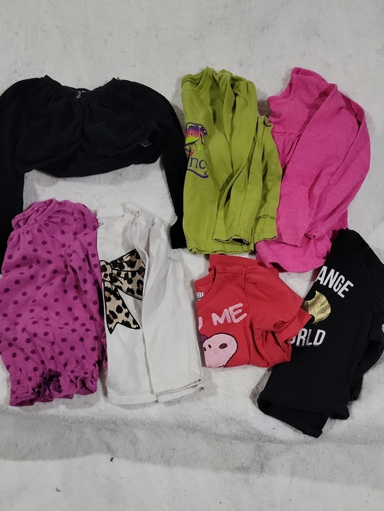 Other - Mixed Bundle Toddler Girls Long Sleeve Shirts 2t